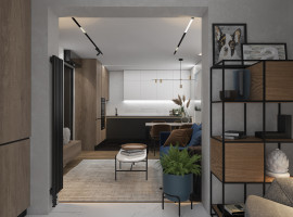 9кухня-гостиная жк гринада30